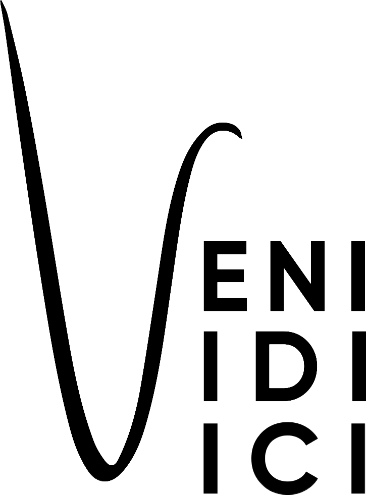 Veni Vidi Vici Agency