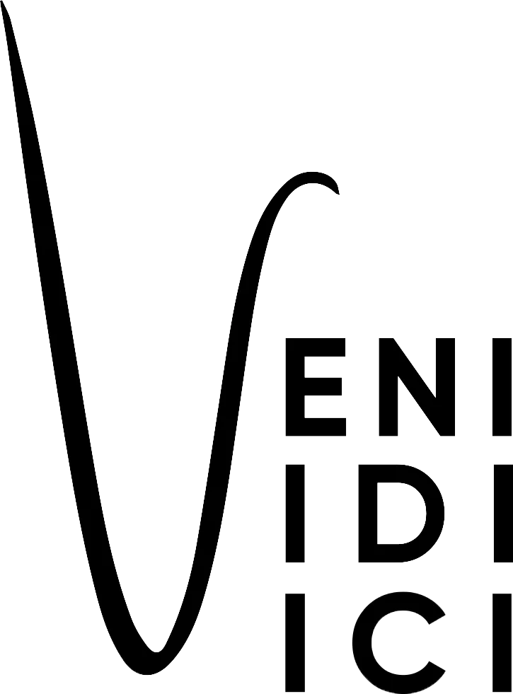 Veni Vidi Vici Agency